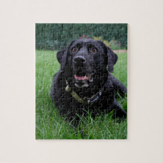 Puzzle Labrador retriever negro adaptable
