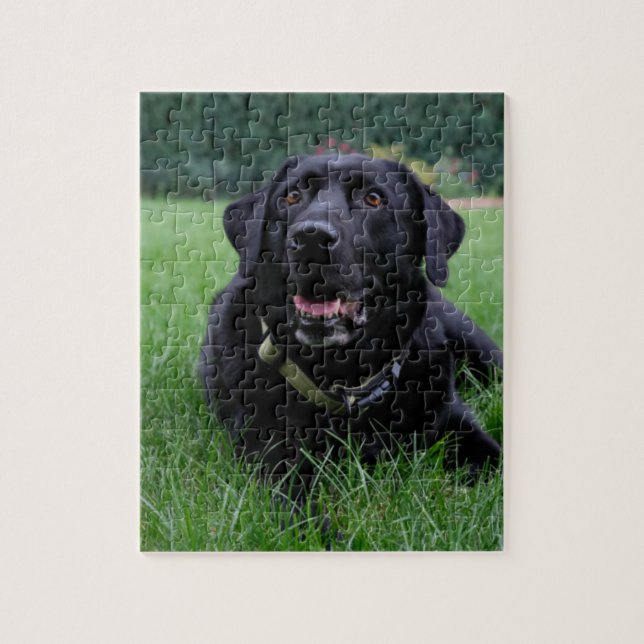 Puzzle Labrador retriever negro adaptable (Vertical)