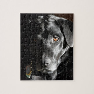 Puzzle Labrador retriever negro adaptable