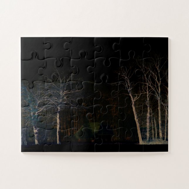 Puzzle Lado oscuro 4 11x14 30pc jpa (Horizontal)