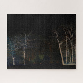 Puzzle Lado oscuro 4 16x20 520pc jpa