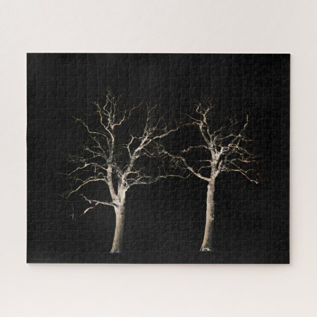 Puzzle Lado oscuro 9 16x20 520pc jpcna (Horizontal)