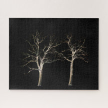 Lado oscuro 9 16x20 520pc jpcnm