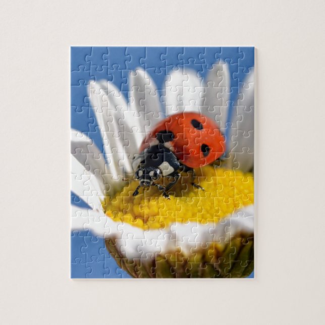 Puzzle Lady bug en daisy (Vertical)