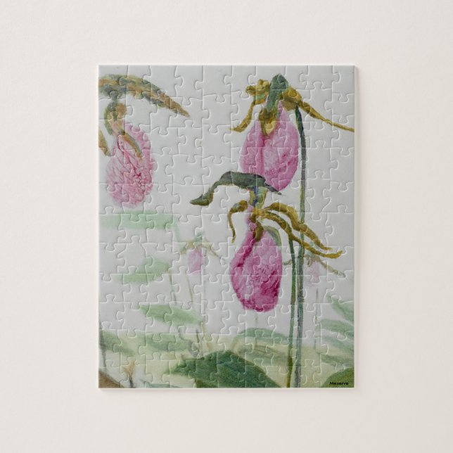 Puzzle Lady Slippers (Vertical)