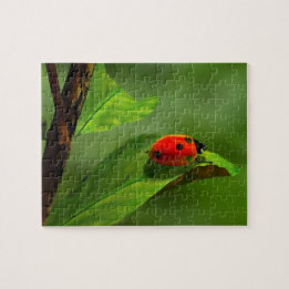 Puzzle Ladybug