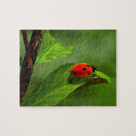 Puzzle Ladybug