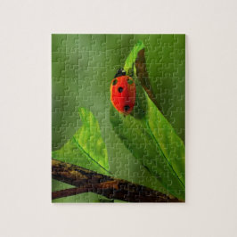 Puzzle Ladybug