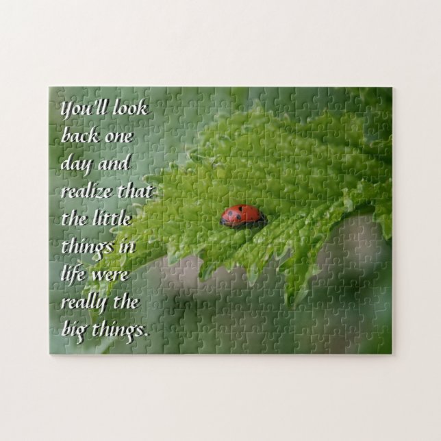 Puzzle Ladybug (Horizontal)