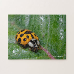 Puzzle Ladybug amarillo y negro de 18 puntos