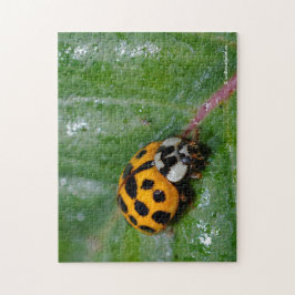 Puzzle Ladybug amarillo y negro de 18 puntos