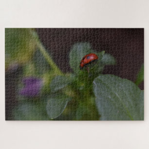Puzzle Ladybug en Flores