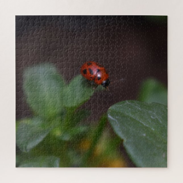 Puzzle Ladybug en Flores (Vertical)