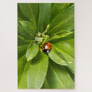Puzzle Ladybug en Flores