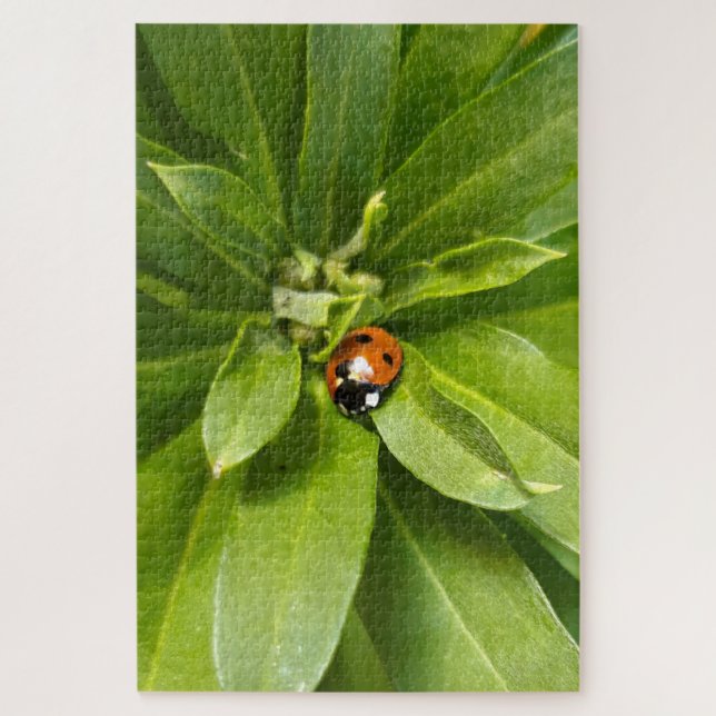 Puzzle Ladybug en Flores (Vertical)