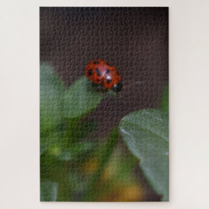 Puzzle Ladybug en Flores