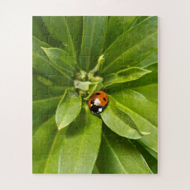 Puzzle Ladybug en Flores (Vertical)
