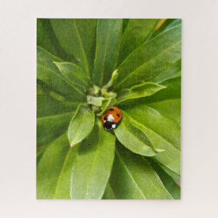 Puzzle Ladybug en Flores