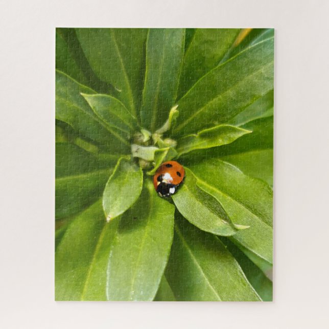 Puzzle Ladybug en Flores (Vertical)