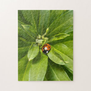 Puzzle Ladybug en Flores