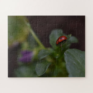 Puzzle Ladybug en Flores