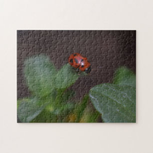 Puzzle Ladybug en Flores