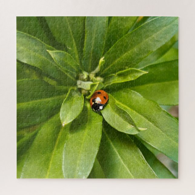 Puzzle Ladybug en Flores (Vertical)