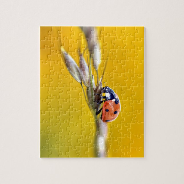Puzzle Ladybug en la posttarjeta madre (Vertical)