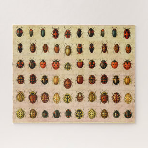 Puzzle Ladybug Ladybird Beetle Insect Bug