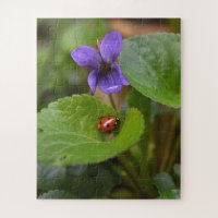 Ladybug sobre las dulces flores violetas
