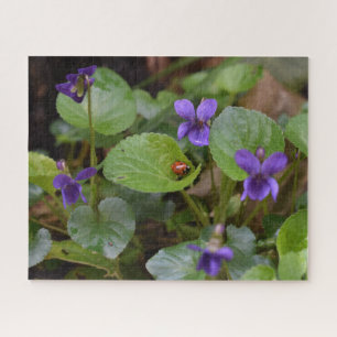 Puzzle Ladybug sobre las dulces flores violetas