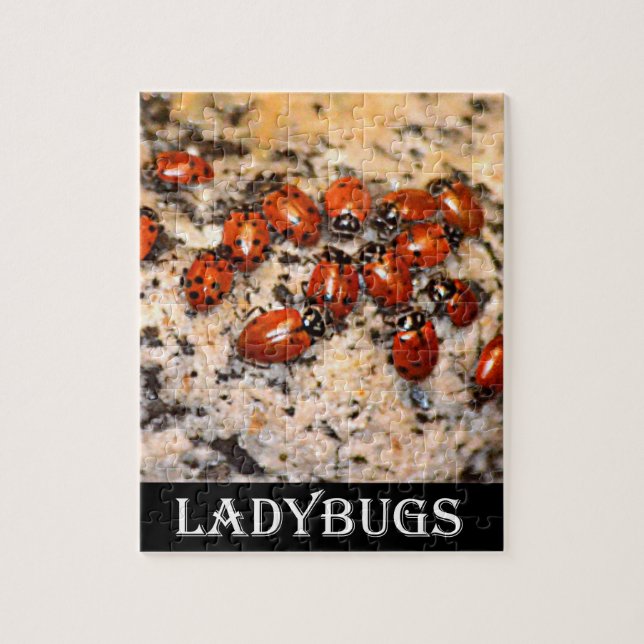 Puzzle Ladybugs (Vertical)