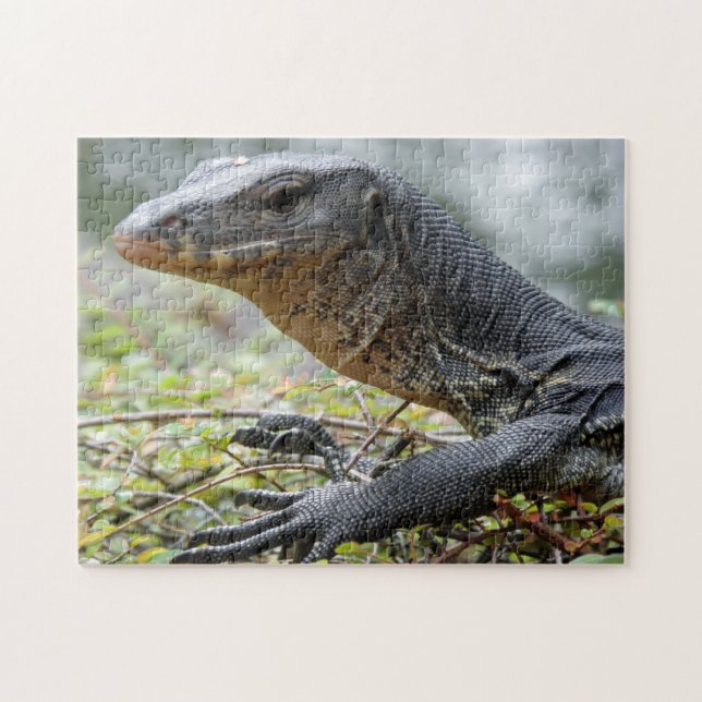 Puzzle Lagarto de monitor (Horizontal)