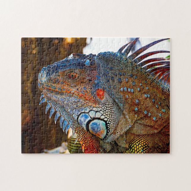 Puzzle Lagarto Iguana Florida (Horizontal)