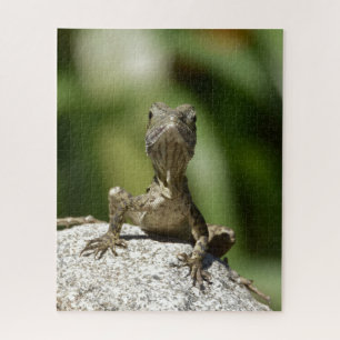 Puzzle Lagarto Juvenil Curioso