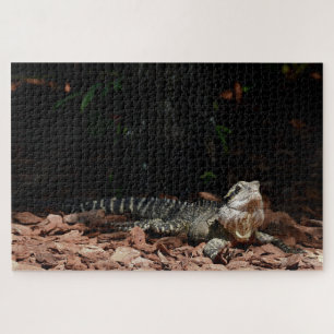 Puzzle Lagarto reptil - dragón de agua oriental