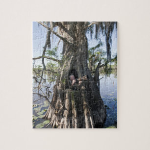 Puzzle Lago Caddo, escondite de caza