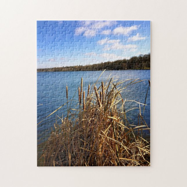 Puzzle Lago Comus, Delavan, Wisconsin (Vertical)