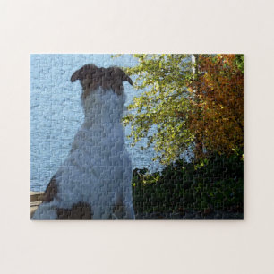 Puzzle Lago de Otoño y Borzoi