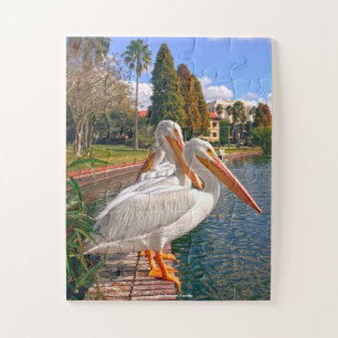 Puzzle Lago Pelican Florida