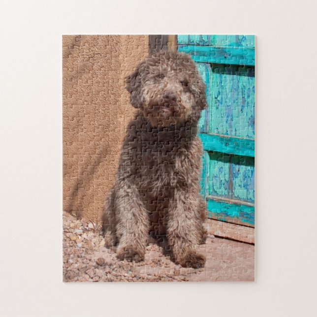Puzzle Lagotto Romagnolo Esperando Junto a una Puerta Azu (Vertical)