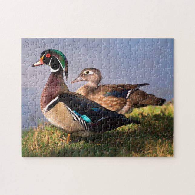 Puzzle Lakeside, Pato de Carolina (Horizontal)