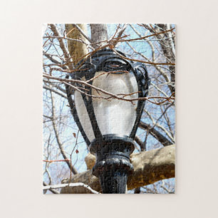 Puzzle Lamp Post New York Central Park