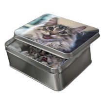 Lanzamiento de nuevo producto