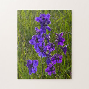 Puzzle Larkspur púrpura por la noche