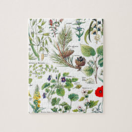 Puzzle Larousse planta los calmantes, emollientes,