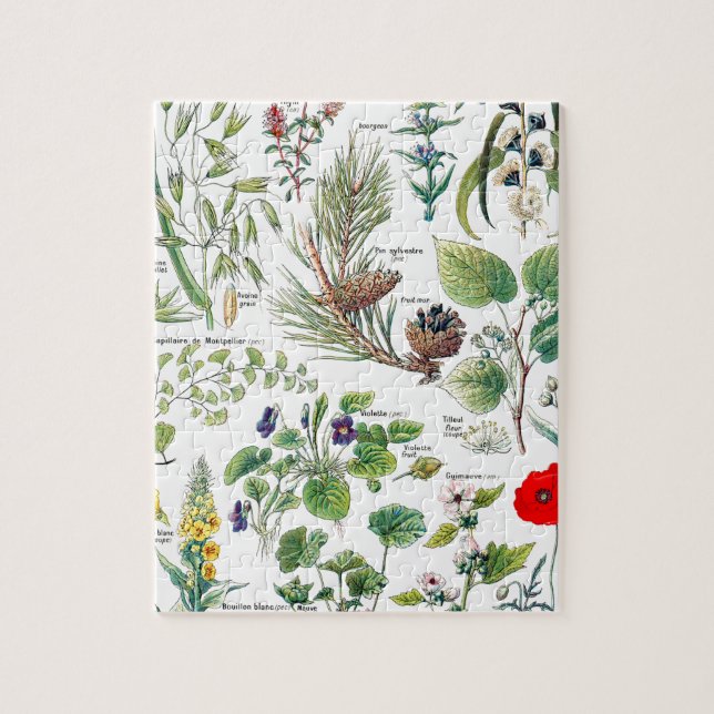 Puzzle Larousse planta los calmantes, emollientes, (Vertical)