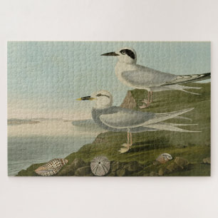 Puzzle Las aves auduónicas de Havell y Trudeau de América