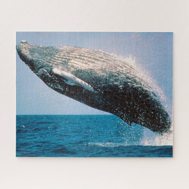 Puzzle Las ballenas jorobadas de Jigsaws. (Horizontal)