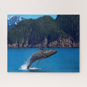 Puzzle Las ballenas jorobadas de Jigsaws.